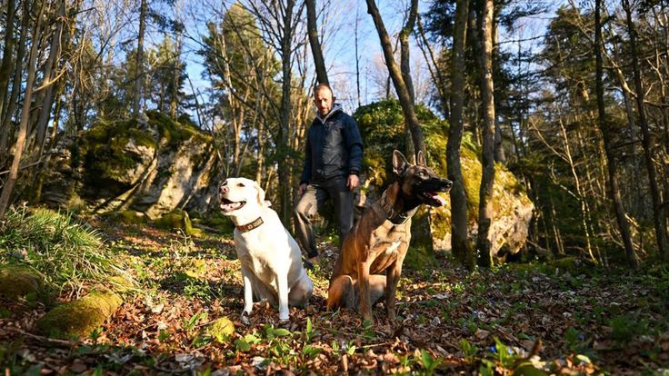Flying Abroad for Intensive Training: K9 “Sinuan–Nari” Gains Invaluable Experience in Slovenia, 