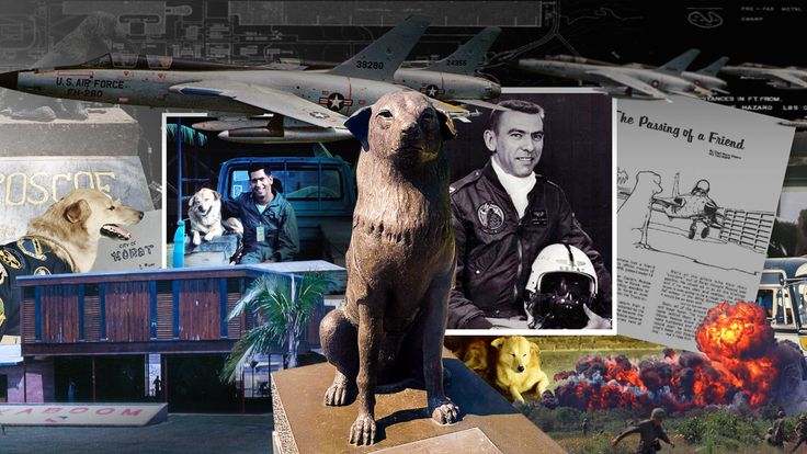 50 ปี การจากไปของ “รอสโค้” 