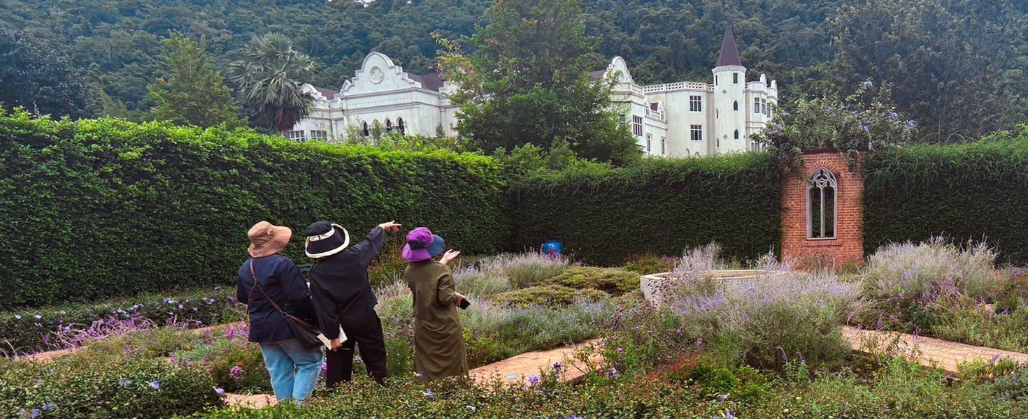 Bird-watching in a Beautiful Garden: “Maison Mystique”