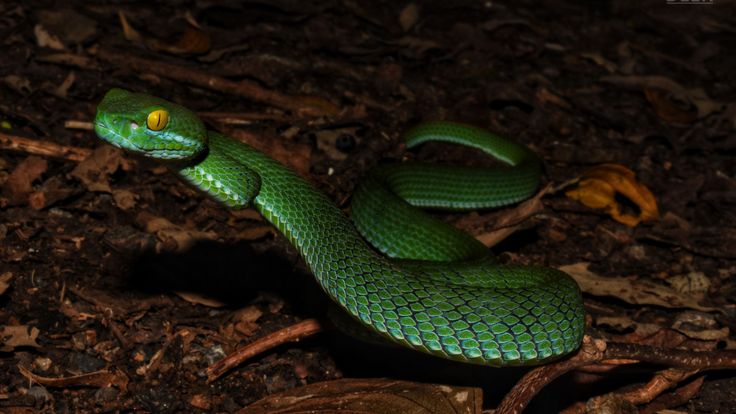 ส่องตัวซีเครทเขาใหญ่