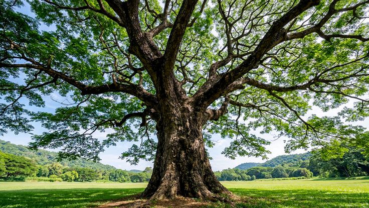 ...ลมหายใจไม่รู้จบ...